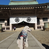 アンデイくんの初詣