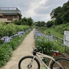 梅雨の中休みライド