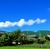 兄を詠む 天の下照る姫のうた 和の歌（やまとのうた）のはじまりはじまり