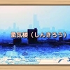 蜃気楼（しんきろう）