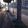 朝散歩・美術館