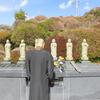 ペットの納骨　２月１７日（金）龍雲寺