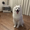 夜のルーティン