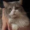 ７歳になりました