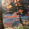 奥胎内の紅葉　　近場Myエリア