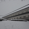 雪降る街をあるけば「金沢城」