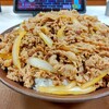 【バカ旨かった】毎日キング牛丼145日目