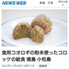 昆虫食と諸々。