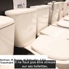 お尻だって拭いてほしい！フランスの日本式ウォッシュレット