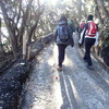 歩いてみました５（フノウの滝・シイの群叢）