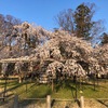 ４月３日、客あり、遠方より来たる