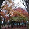 発色の違い