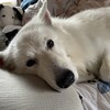 てんかん発作へも影響