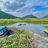 田名池（沖縄県伊平屋島）