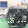 ひとまず安心