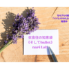 衣食住の《衣》BEMAS HEARTの半袖の服【なりさらblog】