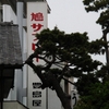 鎌倉、「豊島屋」の「鳩サブレー」の歴史 の画像です。