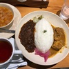 欧風食堂オラゲの合い盛りカレー🍛