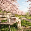 画面の向こうでは届かない、対面だからこそ生まれる温かさの話