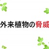 外来植物の脅威、あなたの庭にも迫っている――在来種を守るために今すぐできること