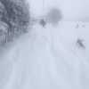 冬の楽しみ･深雪新雪！道北･ぴっぷスキー場「2025･26snow season北海道スキー旅」13日目