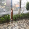 【ゲリラ豪雨】雹が降りました！