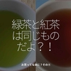 1005食目「緑茶と紅茶は同じものだよ!？」お茶ってなあに？その④