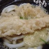 海老天ぷら讃岐うどん