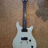 PRS SE