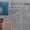 読売新聞にコメントを掲載して頂きました