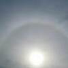 北野天満宮 体重９００㎏ 牛が参拝？