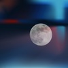 スノームーン・・・満月前夜