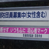 消防団員募集中！井田舞子ってイルカ？＋マンボウ