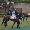 東京競馬4R パドック直前予想　12 アルジェントステラ　がんばれぇぇぇぇぇ！！