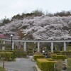 近江富士花緑公園