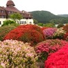 小田急 山のホテル つつじ・しゃくなげフェア 箱根・芦ノ湖畔