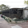 周南市徳山動物園（６）ライオンとアムールトラ、「虹のかけはし」とカピバラ（山口県周南市徳山５８４６）