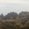 今朝の景色