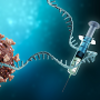 【GMO(遺伝子組み換え）人間】や【武漢コロナワクチン=新型コロナワクチン=mRNA COVID-19ワクチン=mRNAコビドワクチン接種者】は、GMOトウモロコシやGMO大豆などDNA変異作物と、どのように似ているのか?