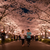 夜桜を眺めながらナイトラン！ライトアップもある名古屋のお花見スポット7選。