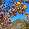 榛名山を堪能