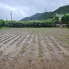 2022年梅雨入り長雨