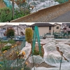 畑のものとか