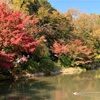 京都市植物園で早い紅葉狩り