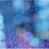 一日中雨