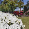 青森旅行2泊2日＜2日目＞