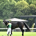 なんすけの競馬予想