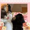 無言の訴え〜♡