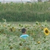 私が初めて幽霊を見てしまったのは小学生の夏の日のことでした。ぶつかる！！と思った。