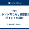 ミニトマト育て方と観察日記のポイントを紹介